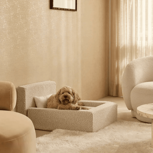 Cama Ortopédica Móvil para Perros y Gatos con Respaldo - Image 5