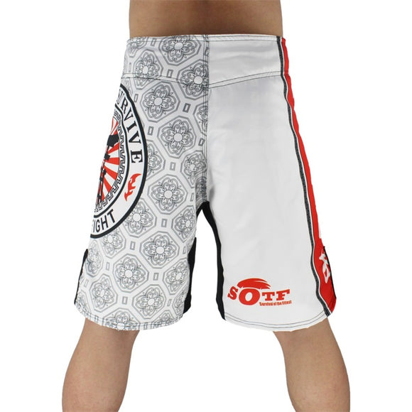 Ropa de Entrenamiento de Artes Marciales Mixtas - Shorts y Uniforme Sanda