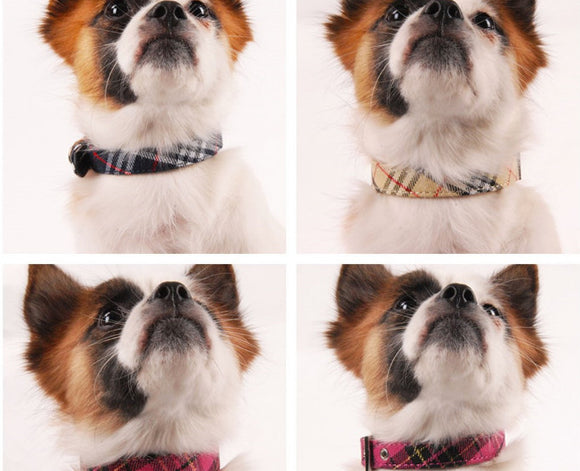 Collar de Sarga de Cuero PU para Perro