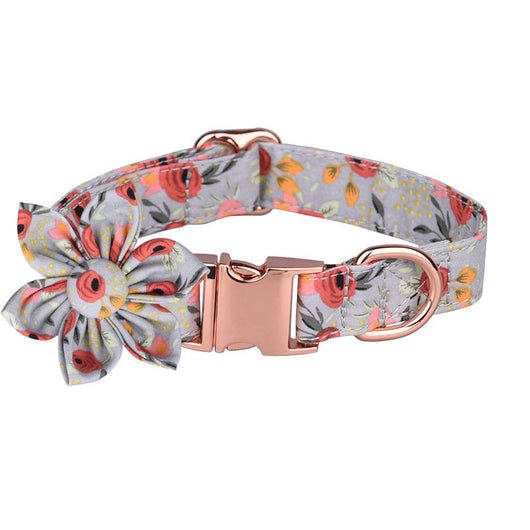Juego de Collar y Correa Personalizado para Mascotas - Image 25