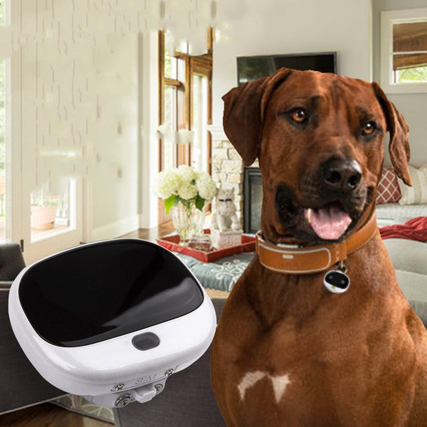 Localizador GPS Mini para Gatos - Collar Inteligente Antiextravío con Luz LED