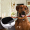 Localizador GPS Mini para Gatos - Collar Inteligente Antiextravío con Luz LED
