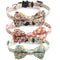 Collar Felino Idílico