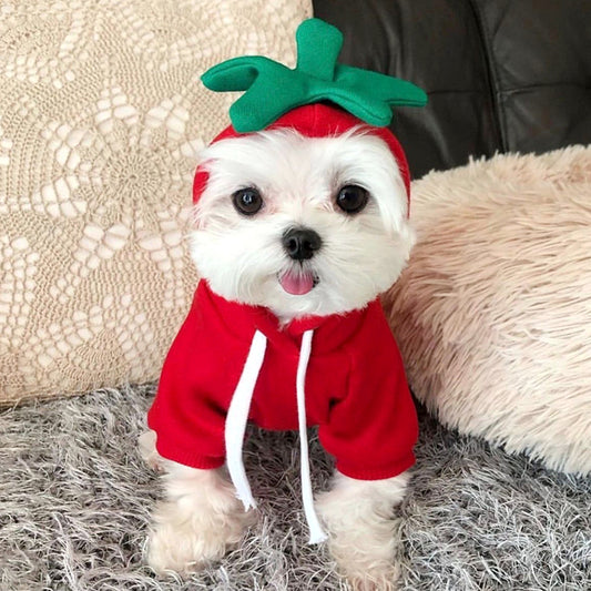 Ropa Adorable para Perros y Gatos - Chaleco de Algodón con Diseños Animados - Image 2