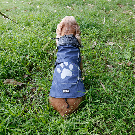 Chaleco Impermeable y Térmico para Perros Grandes - Image 16
