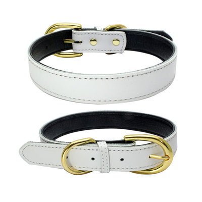 Collar para Mascotas de Cuero Genuino - Image 8