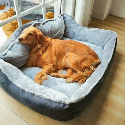 Sofá Cómodo para Perros Golden Retriever
