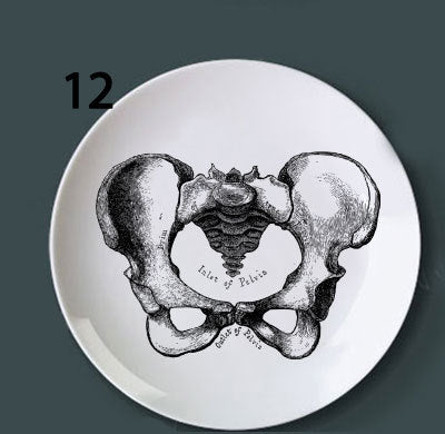 Placa Decorativa de Anatomía Ósea - Image 24