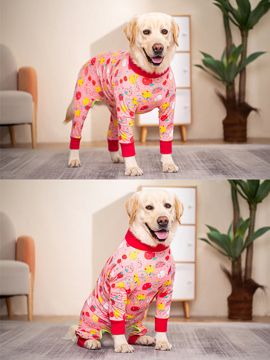 Ropa Completa para Mascotas - Conjunto de Abrigo para Perros y Gatos - Image 11