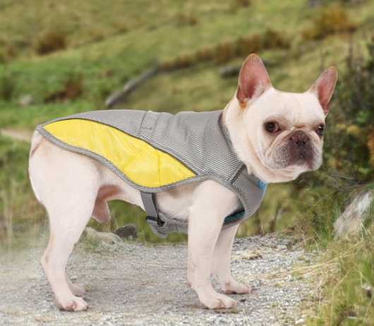 Ropa Refrigerante para Perros - Protección contra el Calor - Image 3