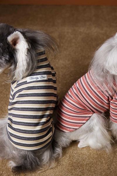 Camiseta Interior Ajustada para Perros Maltés y Schnauzer - Tejido Hipoalergénico - Image 9