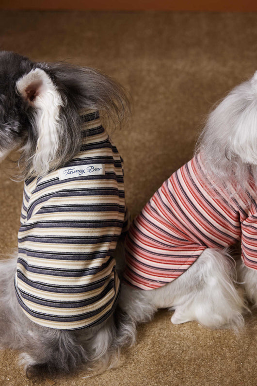 Camiseta Interior Ajustada para Perros Maltés y Schnauzer - Tejido Hipoalergénico - Image 9