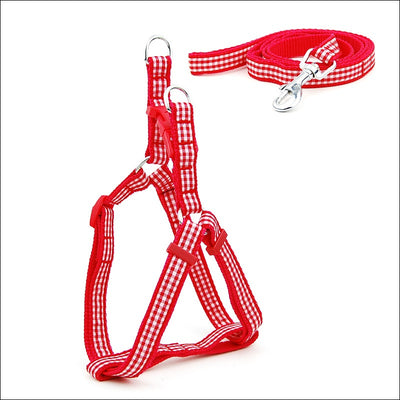 Arnés Pechera para Perros Pequeños y Medianos con Estampado de Lunares - Image 22