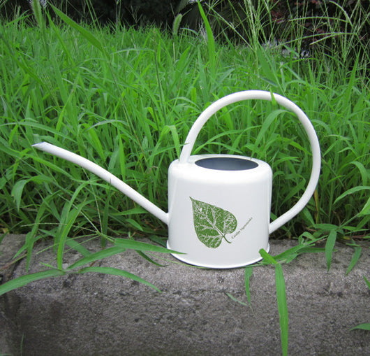 Regadera de Gran Capacidad para Huerto y Jardín - Image 24