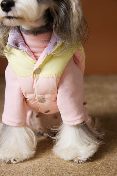 Chaleco Acolchado de Invierno para Perros Pequeños - Teddy, Schnauzer, Bichón - Image 29