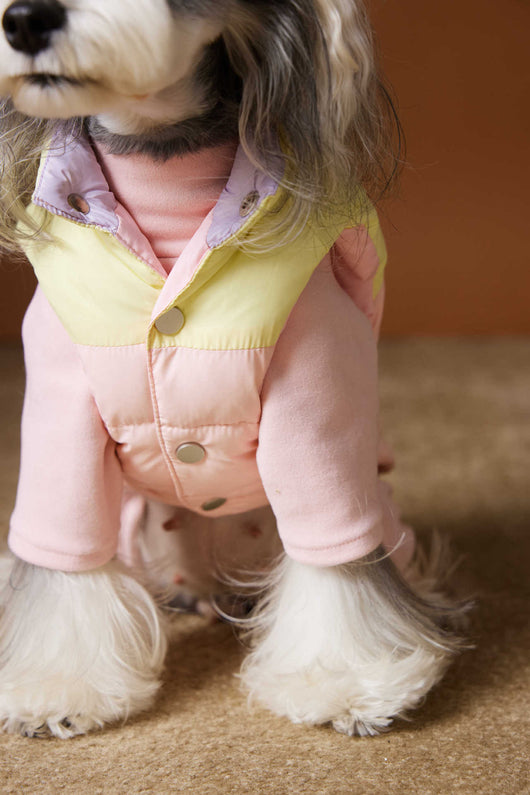 Chaleco Acolchado de Invierno para Perros Pequeños - Teddy, Schnauzer, Bichón - Image 29