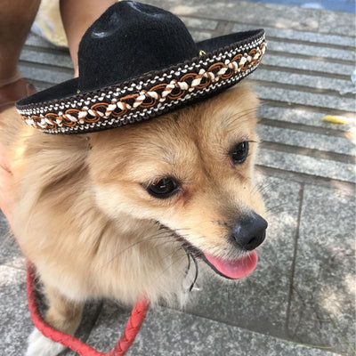 Sombreros de Perrito Hot Dog para Mascotas - Image 5