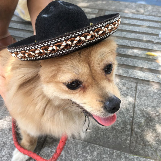 Sombreros de Perrito Hot Dog para Mascotas - Image 5