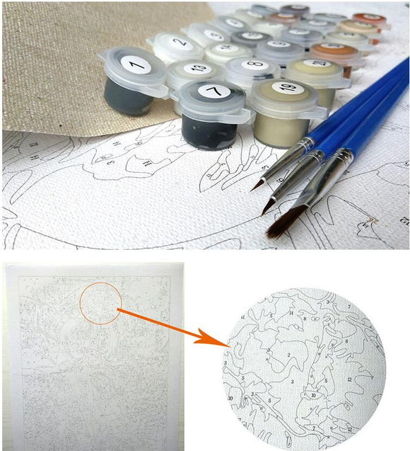 Cuadro Personalizado Pintar por Números - Tu Propia Obra Maestra