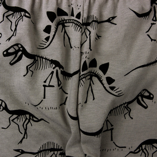 Pantalones Casuales Dinosaurio para Niños - Image 4