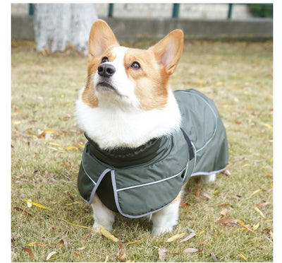 Abrigo Térmico Protector para Perros - Image 15