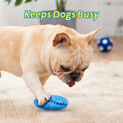 Pelota Interactiva Comedero para Perros - Juguete Dispensador de Alimento con Textura Masticable - Image 17
