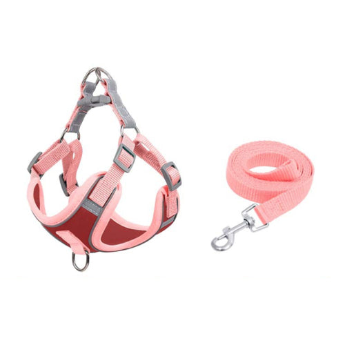 Chaleco Reflectante Anti-Escape para Perros Pequeños y Medianos con Correa Integrada - Image 12