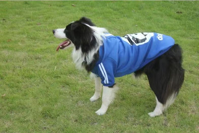 Sudadera Térmica para Perros Medianos y Grandes - Image 7