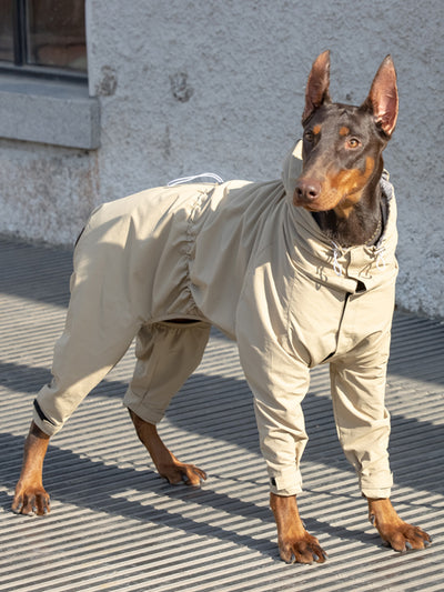 Traje de Montaña Táctico para Perros Shiba Inu Medianos y Grandes - Image 3