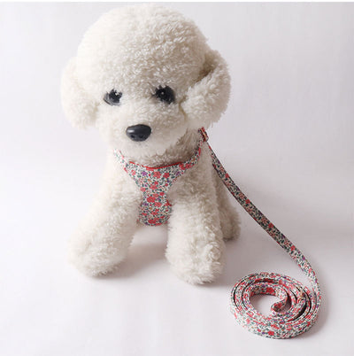 Arnés Floral para Mascotas con Correa de Paseo - Image 16