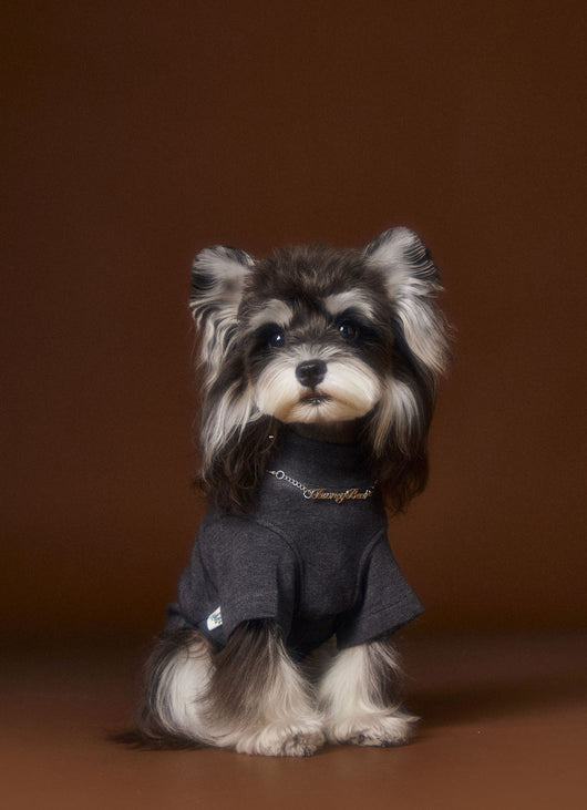 Camisa Interior Teddy Schnauzer - Diseño Elegante con Cuello de Dos Patas - Image 10