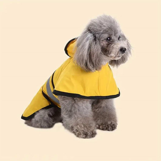 Poncho Impermeable Reflectante para Perros Grandes - Abrigo de Lluvia Golden Retriever - Image 8