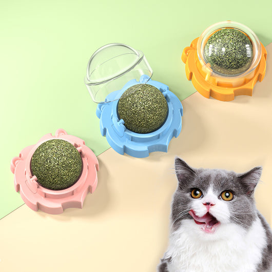 Juguete Mordedor Molar para Gatos con Hierba Gatera Adhesiva