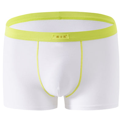 Shorts de Algodón Talla Grande Cómodos y Sensuales - Image 42