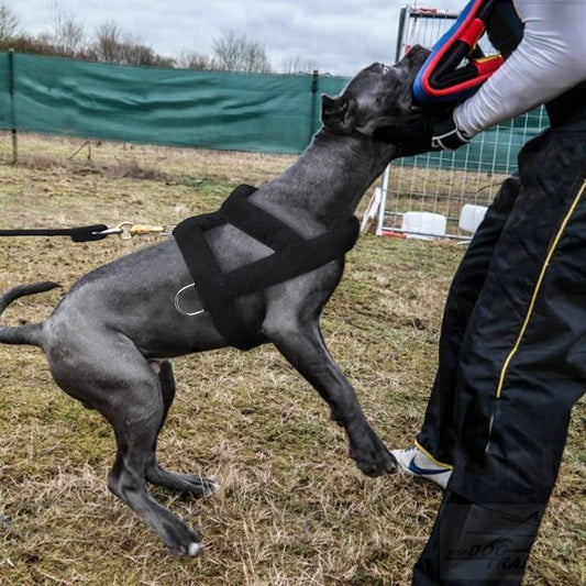Arnés de Tracción para Perros con Acolchado Suave - Razas Grandes - Image 2