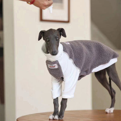 Ropa para Perros Pequeños y Medianos Whybit - Accesorios para Galgos - Image 3