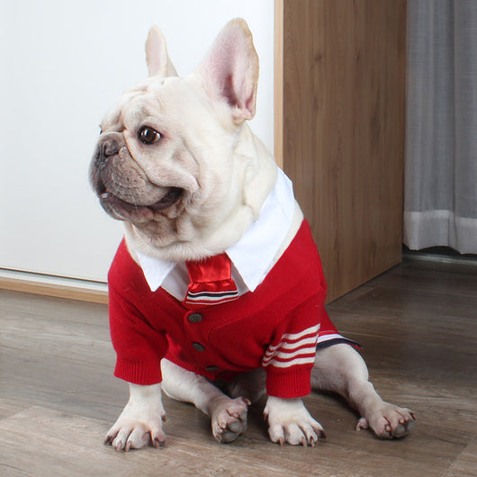Suéter Navideño para Mascotas - Abrigo Cálido para Perros Pequeños y Gatos - Image 7