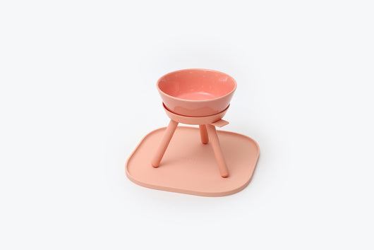 Comedero Elevado para Perros con Soporte - Image 3