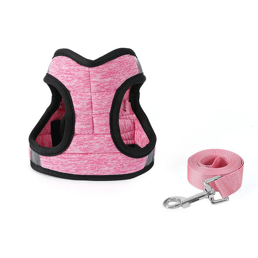 Correa de Paseo para Perros de Moda - Image 8
