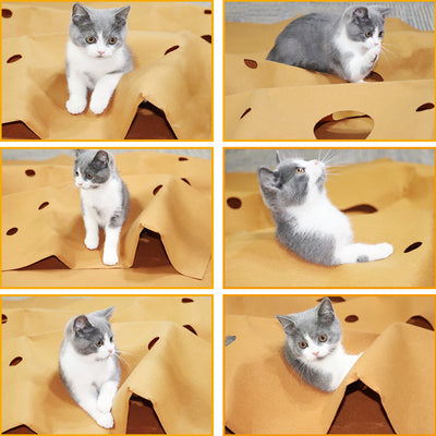 Tapete Interactivo para Gatos con Juguete Integrado - Image 9