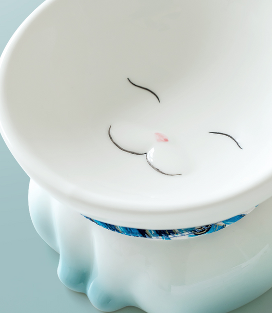Comedero para Gatos con Protección Cervical de Cerámica - Image 8