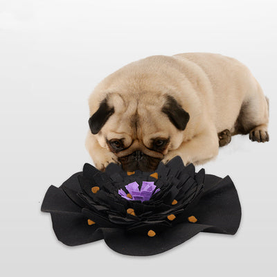 Tapete de Olfato para Mascotas - Image 4