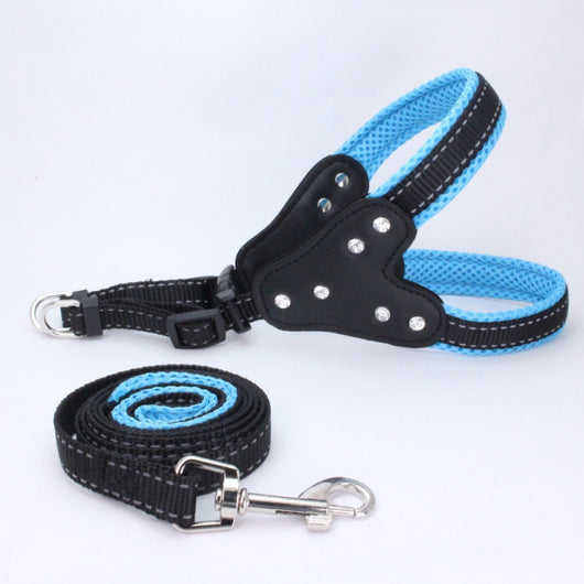 Arnés Triangular de Pecho para Perros - Image 9