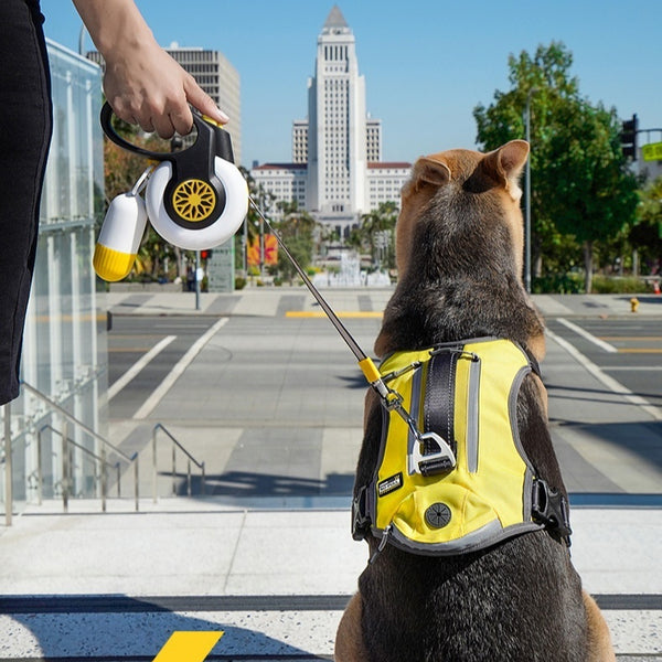 Correa Retráctil Automática Anti-Jalones para Perros