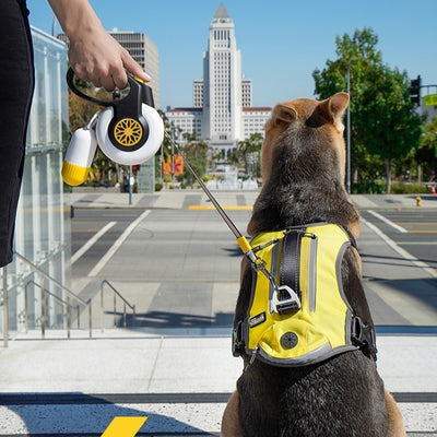 Correa Retráctil Automática Anti-Jalones para Perros