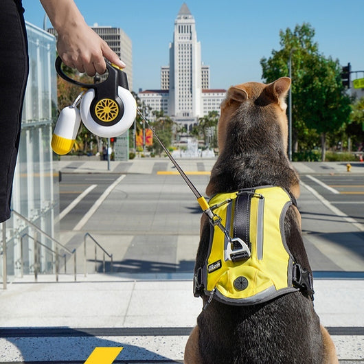 Correa Retráctil Automática Anti-Jalones para Perros