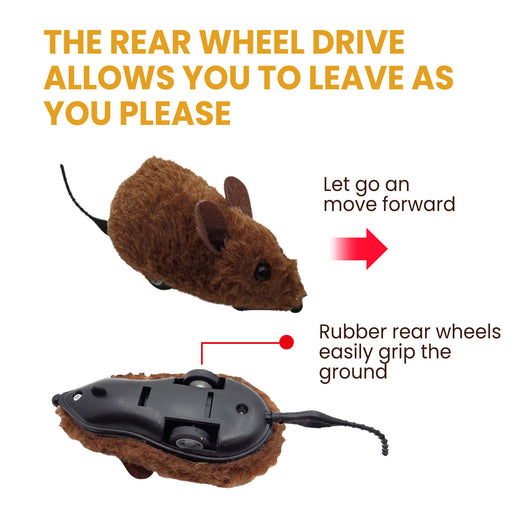 Brown interactive mouse toy for cats with a sound chip, shown in packaging with a kitten graphic and as a standalone toy. - Image 10