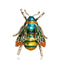 Alloy oil brooch Verde bee