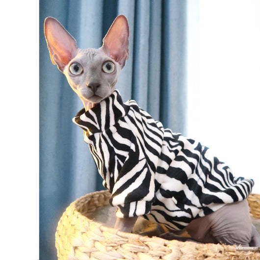 Ropa Térmica para Gatos sin Pelo - Diseño Elegante y Transpirable - Image 7