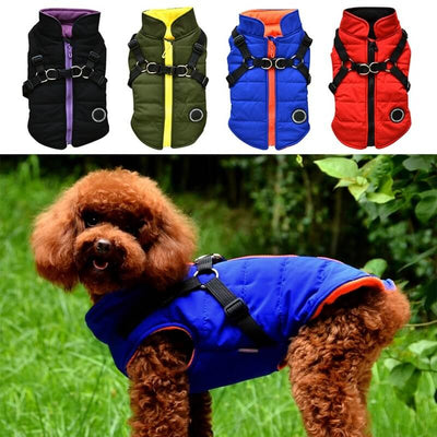 Chaqueta con Cierre para Perro